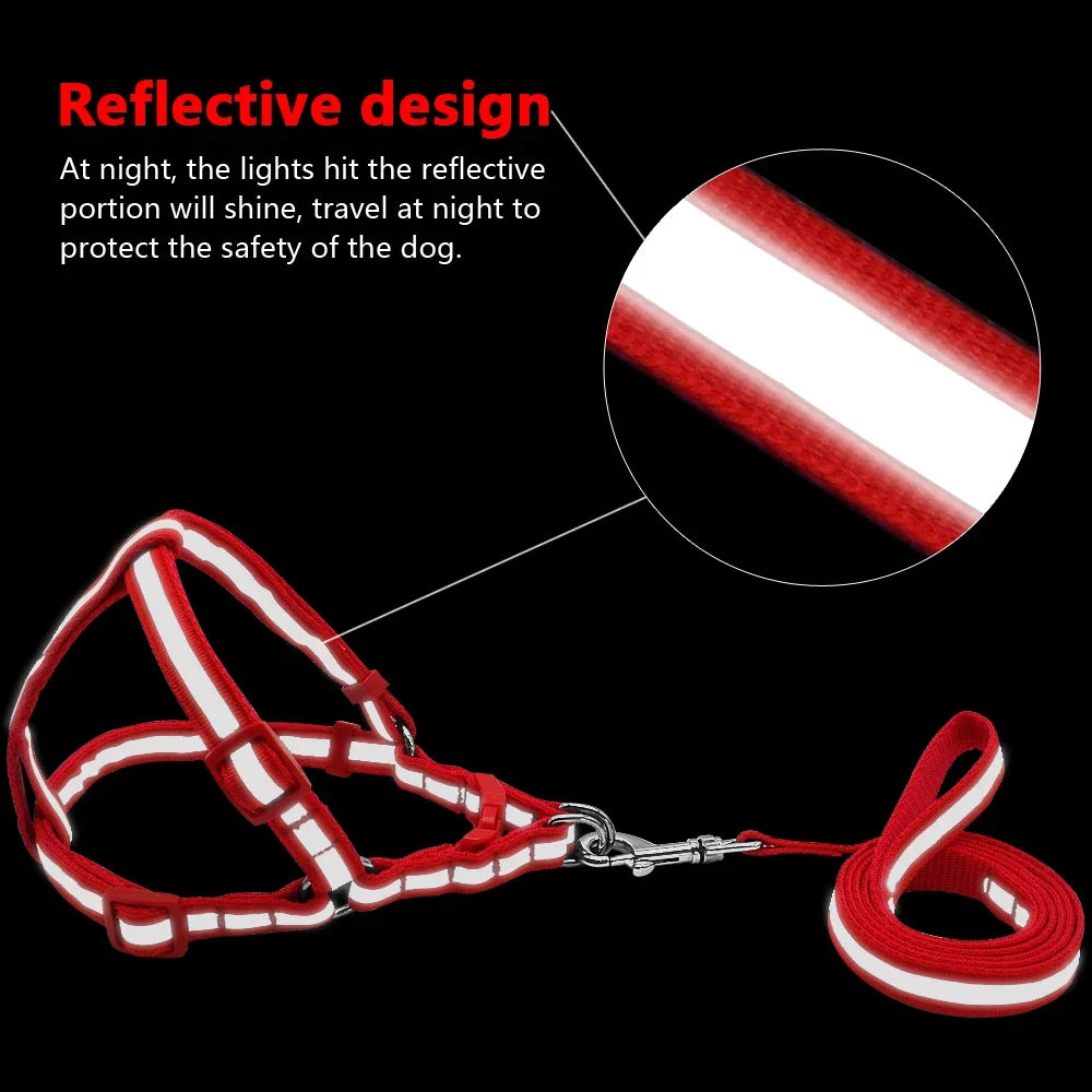 Reflective Nylon Dog Harness and Leash Set - MyPetDollar.com