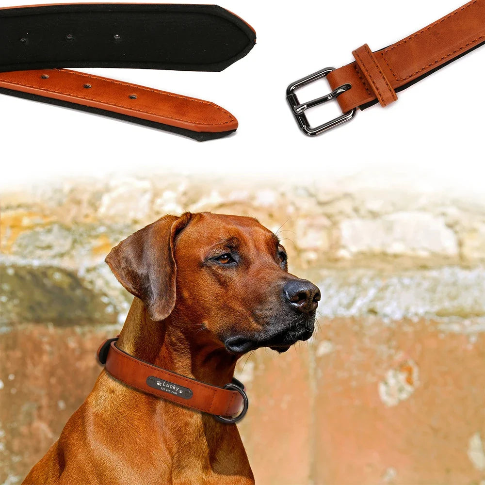 Engrave Name Dog Collar Leather Personalized - MyPetDollar.com