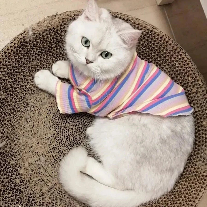 Colorful Stripe Sphynx Cat Vest Shirt for - MyPetDollar.com