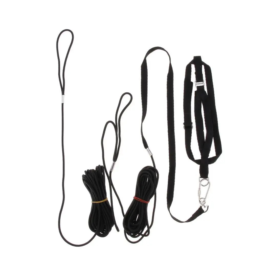 Parrot Leash Adjustable Bird Harness For - MyPetDollar.com