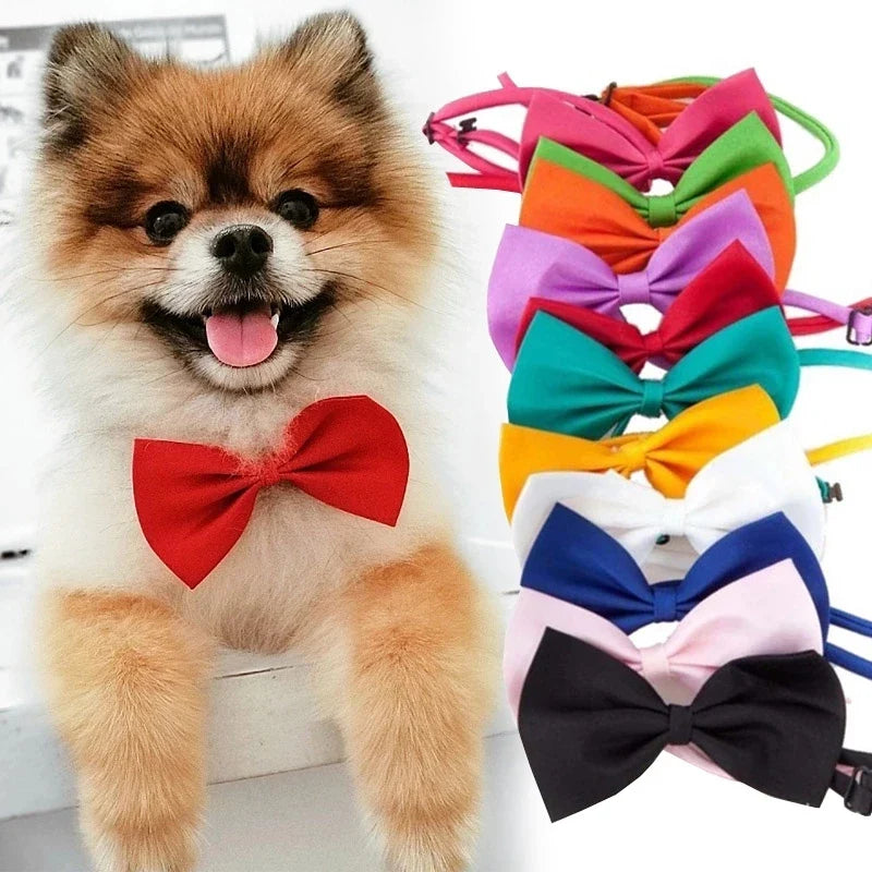 Dog Bow Tie Adjustable Dog Cat Necklace Neck - MyPetDollar.com