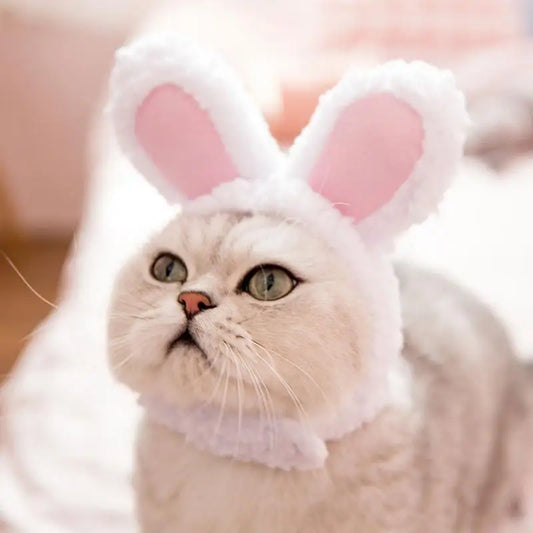 Funny Pet Dog Cat Rabbit Ears Hat Rabbit Wig - MyPetDollar.com