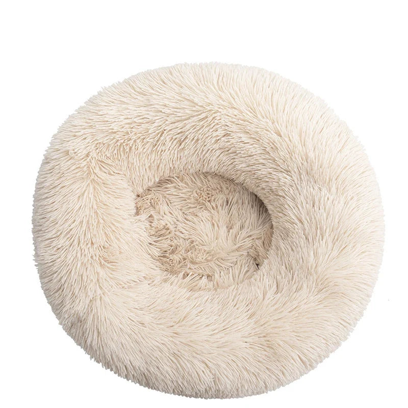 Donut Mand Dog Accessories for Large Dogs - MyPetDollar.com