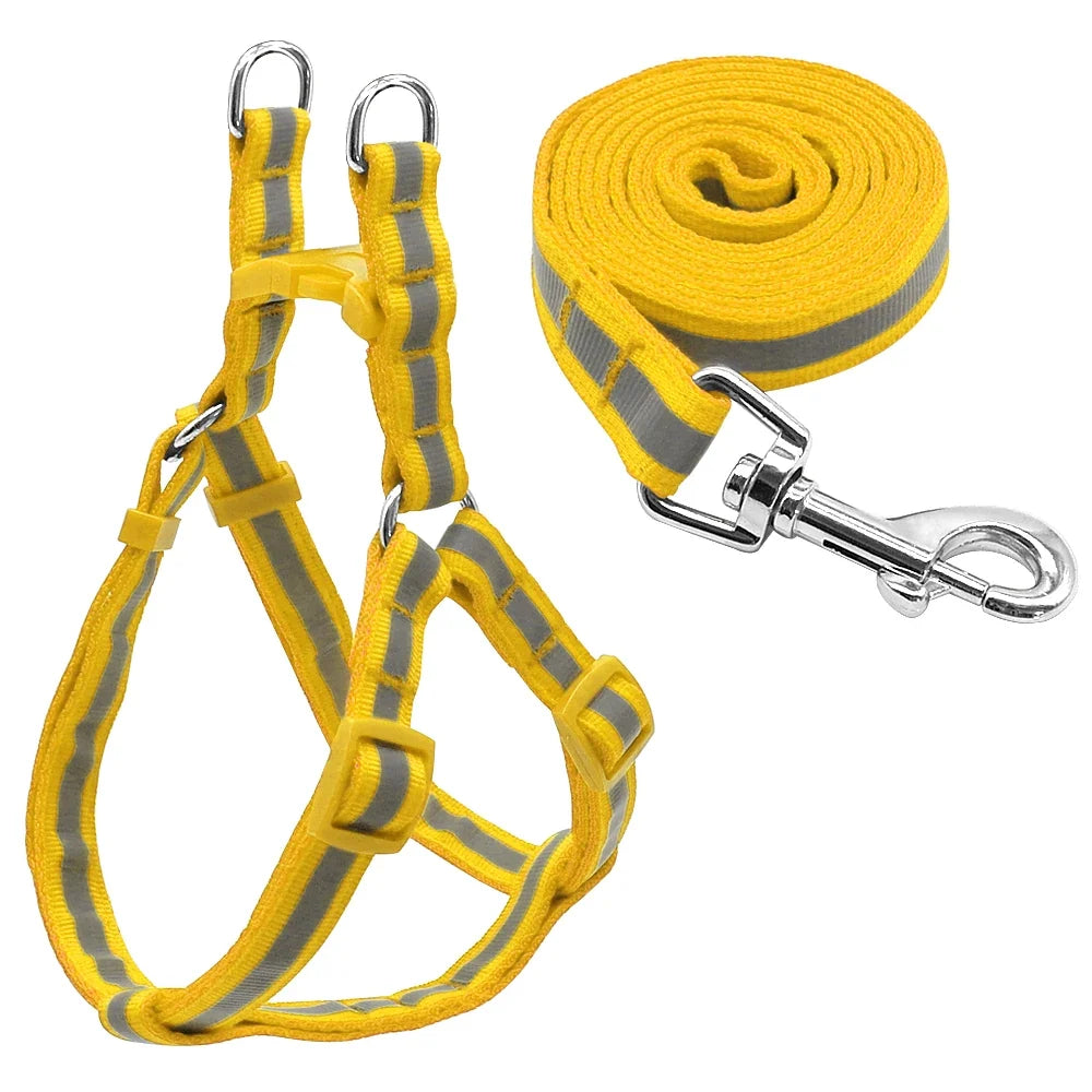 Reflective Nylon Dog Harness and Leash Set - MyPetDollar.com