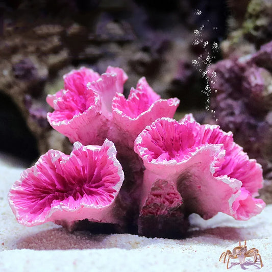 Resin Coral Reef Aquarium Ornaments Fish - MyPetDollar.com