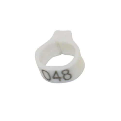100 Pcs Bird Foot Ring Inner Diameter 8mm - MyPetDollar.com
