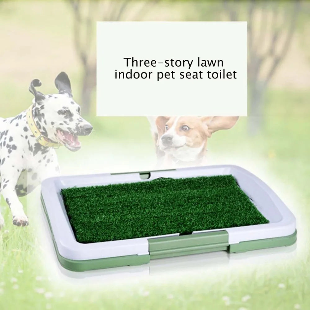 3 Layers Large Dog Pet Potty Training Pee - MyPetDollar.com