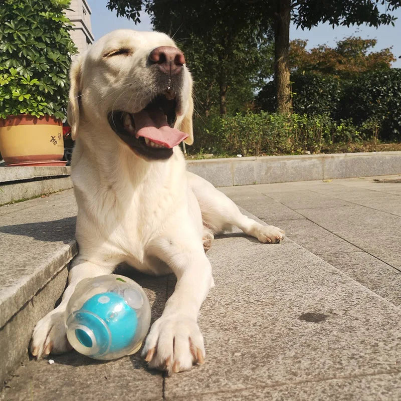 CAITEC Dog Toy Amazing Squeaker Ball Durable - MyPetDollar.com