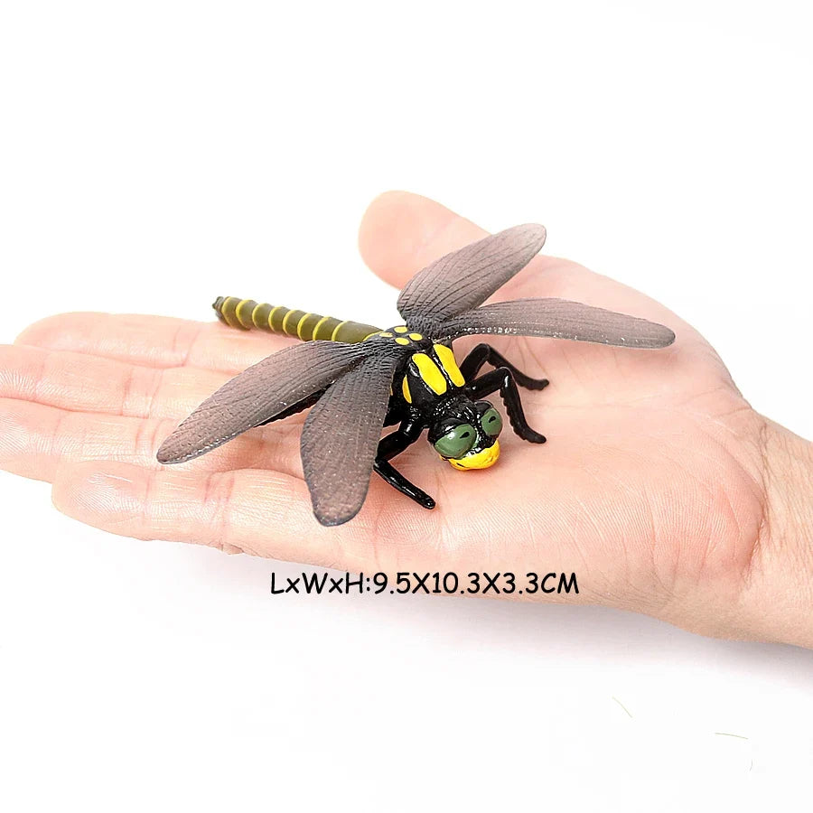 Realistic Insect Grasshopper Mosquito Cicad - MyPetDollar.com
