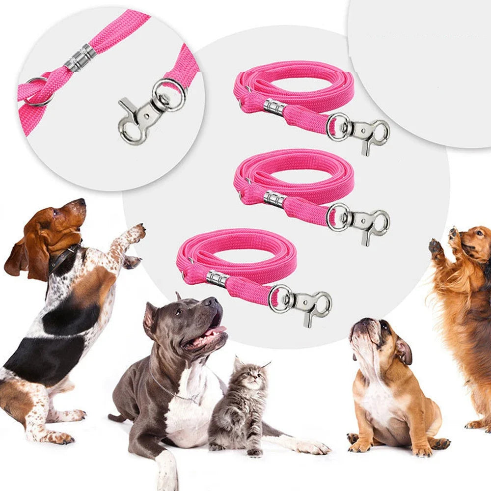 Pet Cat Noose Loop Lock Clip Rope For - MyPetDollar.com