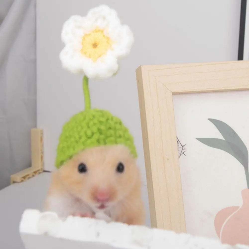 Portable Cartoon Hamster Hat Handmade Soft Pet Knitted – Small Pet Supplies