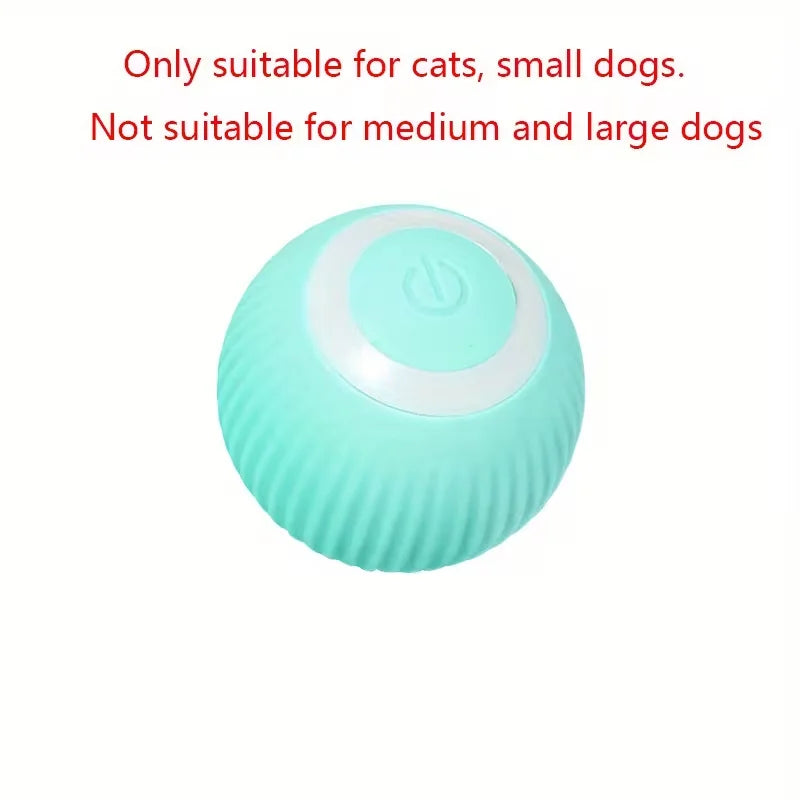 Cat Interactive Ball Smart Plaything