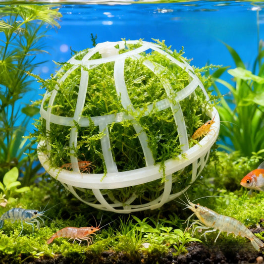 12pcs DIY Aquarium Moss Suspension Balls - MyPetDollar.com