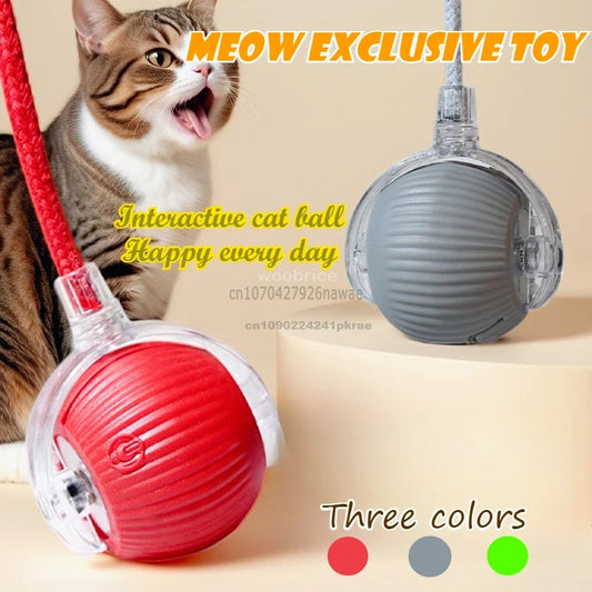 Cat Interactive Ball Automatic Ball Noise - MyPetDollar.com
