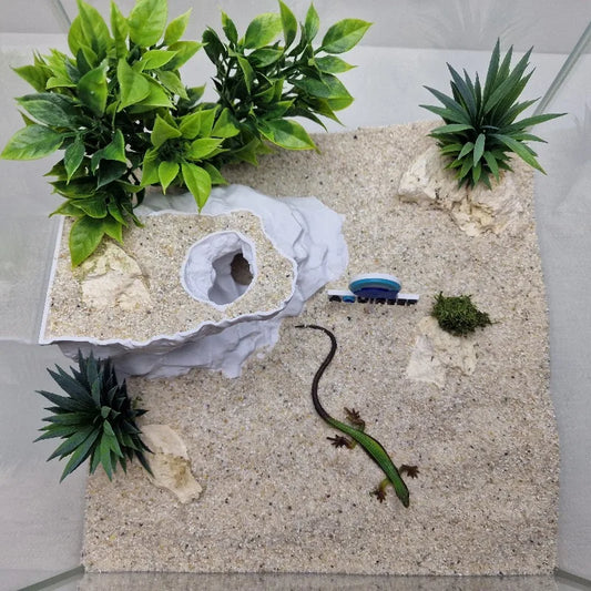 Natural Rock Look 3D Printed Reptile - MyPetDollar.com
