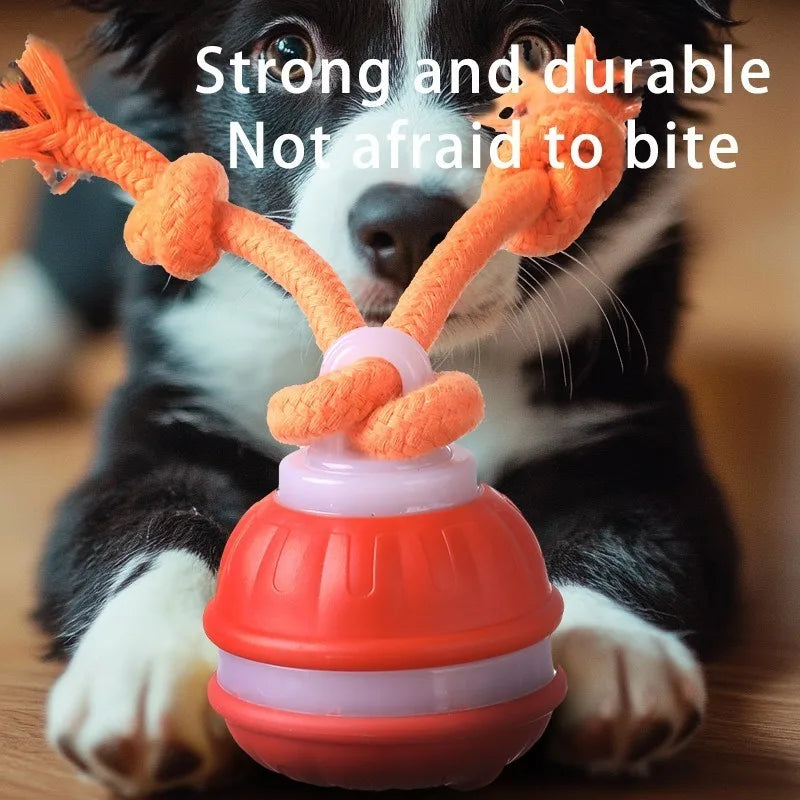 Smart Dog Toys Interactive Teasing Ball With - MyPetDollar.com