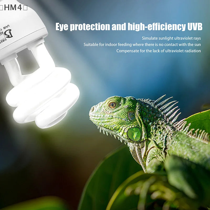〔HM4〕13/26W UV Rays Energy Saving Terrarium - MyPetDollar.com