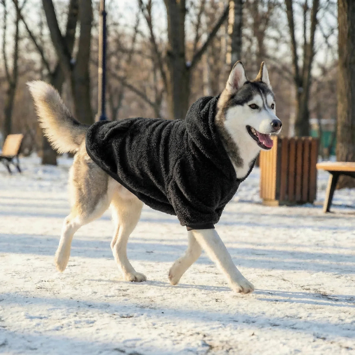 Labrador Golden Retriever Clothing Winter - MyPetDollar.com
