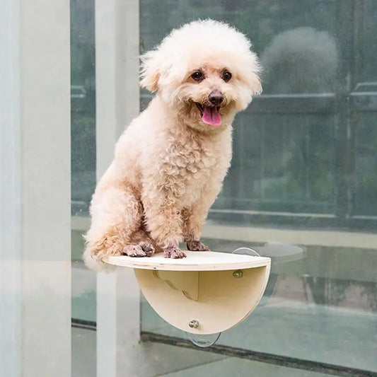 Cat Window Perch Space Saving Window Cat - MyPetDollar.com