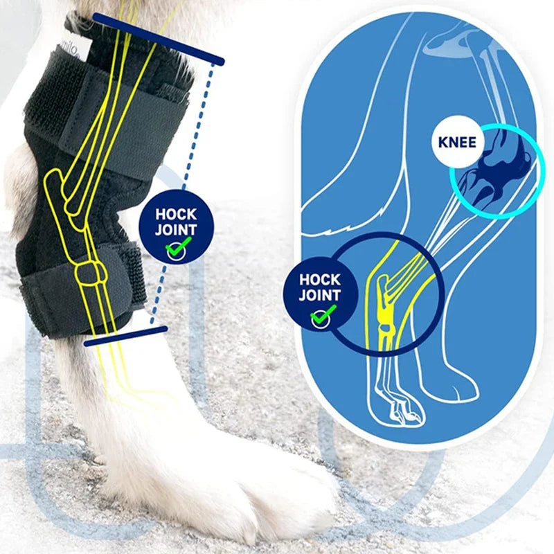 Protector Support Protects Bandage Pet Knee - MyPetDollar.com