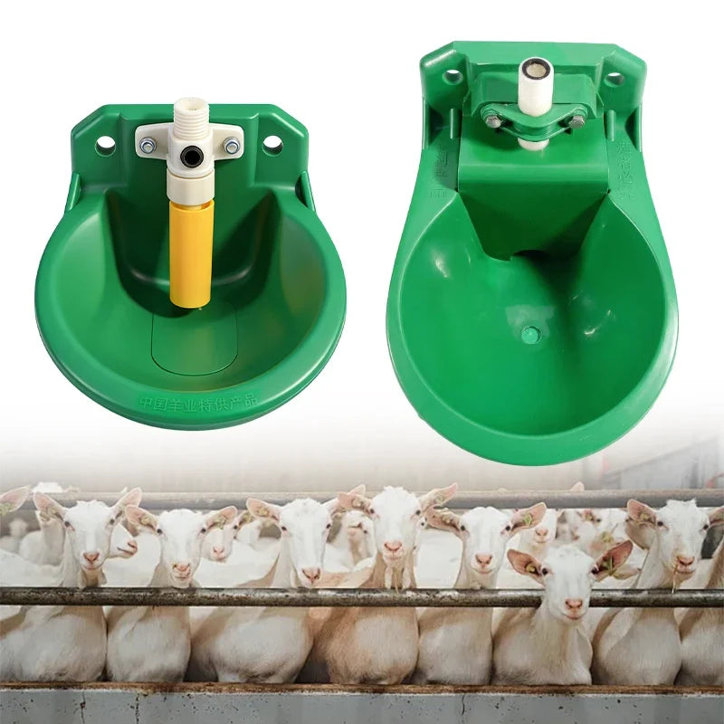 Sheep Drinking Bowl Livestock Feeding Tools - MyPetDollar.com