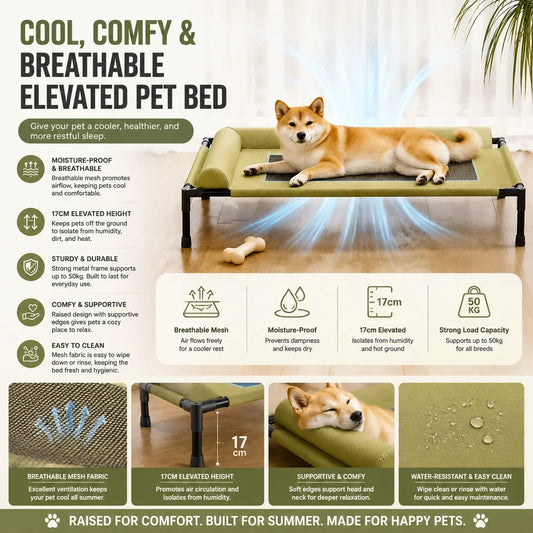 Elevated Dog Bed Raised Mesh Pet Cot - MyPetDollar.com