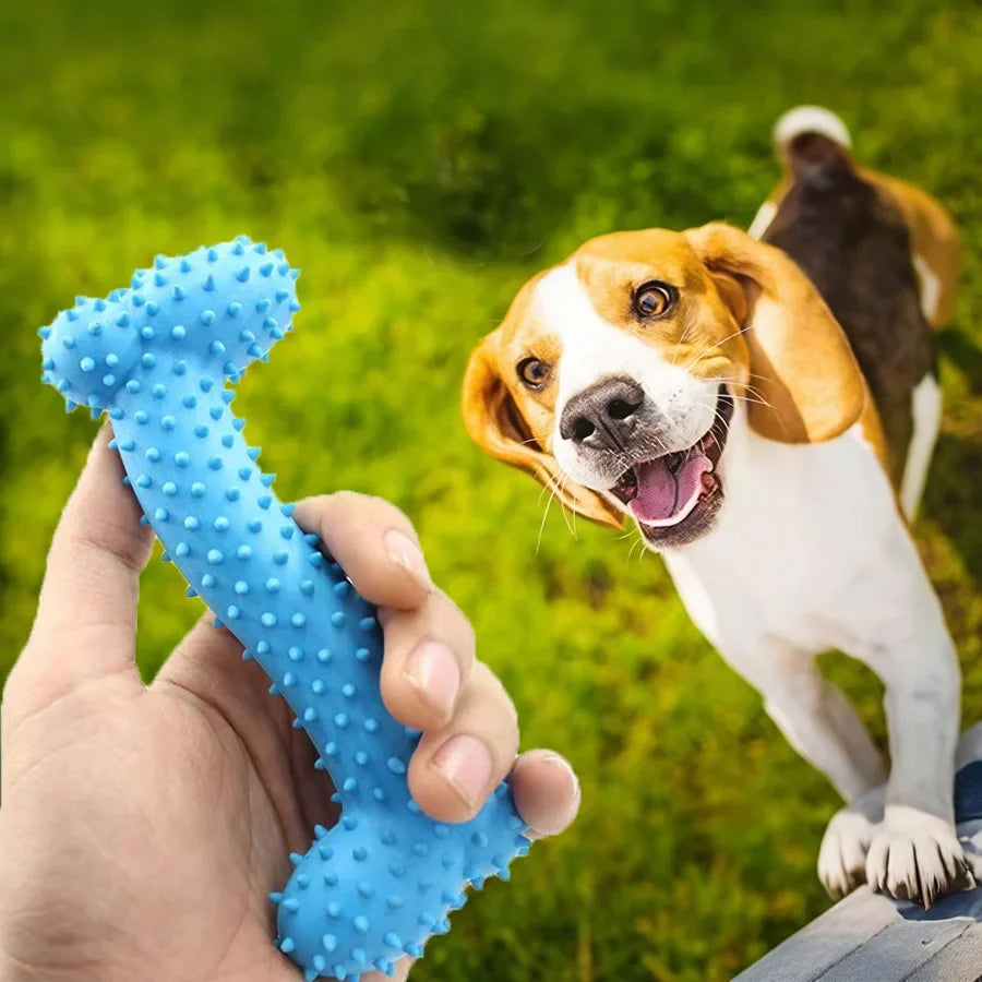 1/3pcs Small Chew Dog Toys Dog Rubber - MyPetDollar.com