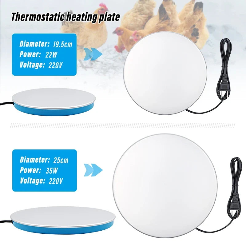 Poultry Pet Animals Chicken Drinking Heating - MyPetDollar.com