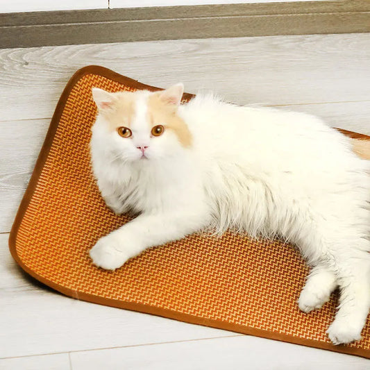 Summer Dog Cooling Mat Pet Cold Bed - MyPetDollar.com