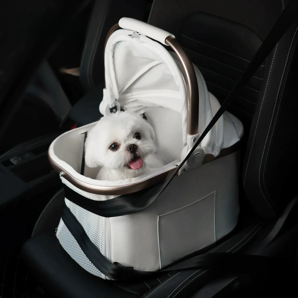 Foldable Detachable Pet Stroller Lightweight - MyPetDollar.com