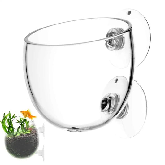 Aquarium Decoration Plant Cup Pot Glass - MyPetDollar.com