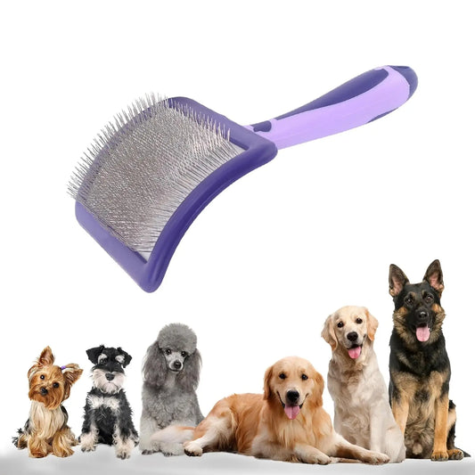 Dog Brush for Poodles Grooming Brush for - MyPetDollar.com