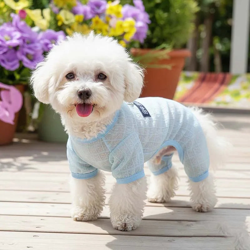 Summer Breathable Mesh Pet Jumpsuit With - MyPetDollar.com