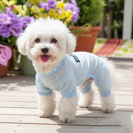 Summer Breathable Mesh Pet Jumpsuit With - MyPetDollar.com