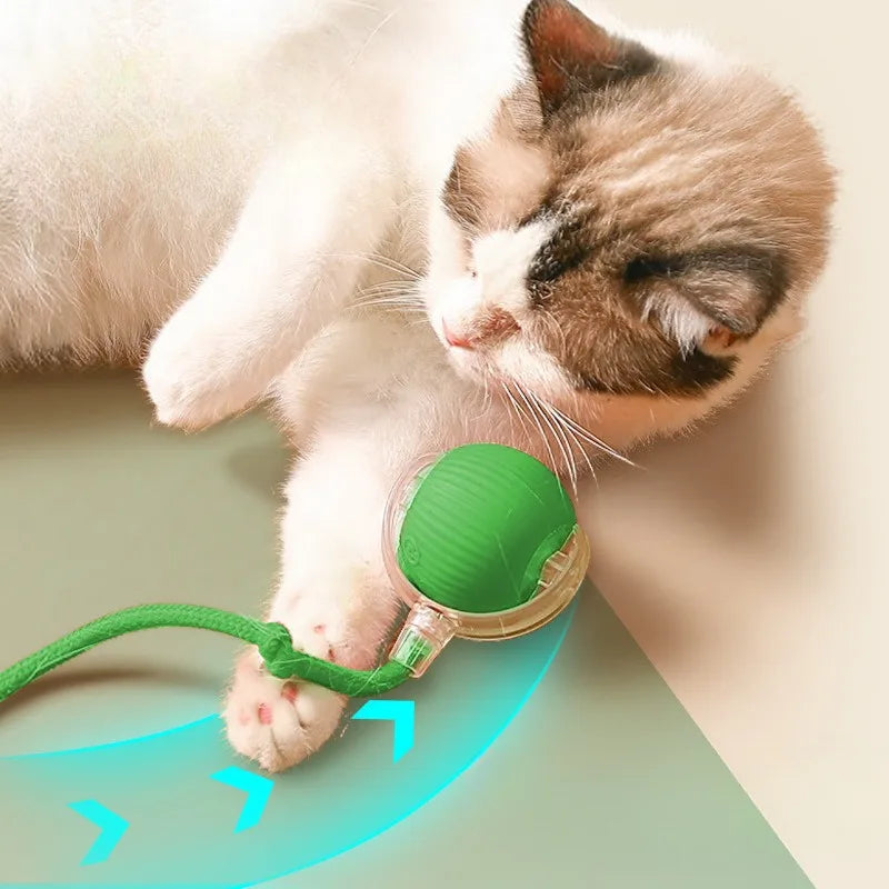 Cat Interactive Ball Toy Automatic Rolling - MyPetDollar.com