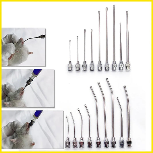 5PCS Rat Mice Intragastric Needle Stainless - MyPetDollar.com