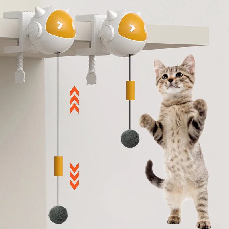 Automatic Lifting Cat Toy Ball Interactive - MyPetDollar.com