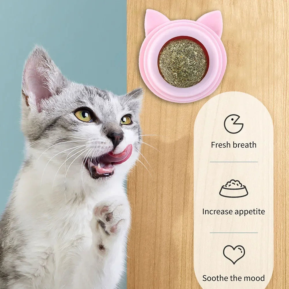 1-3pcs Pet Catnip Toys Wall Ball Licking - MyPetDollar.com