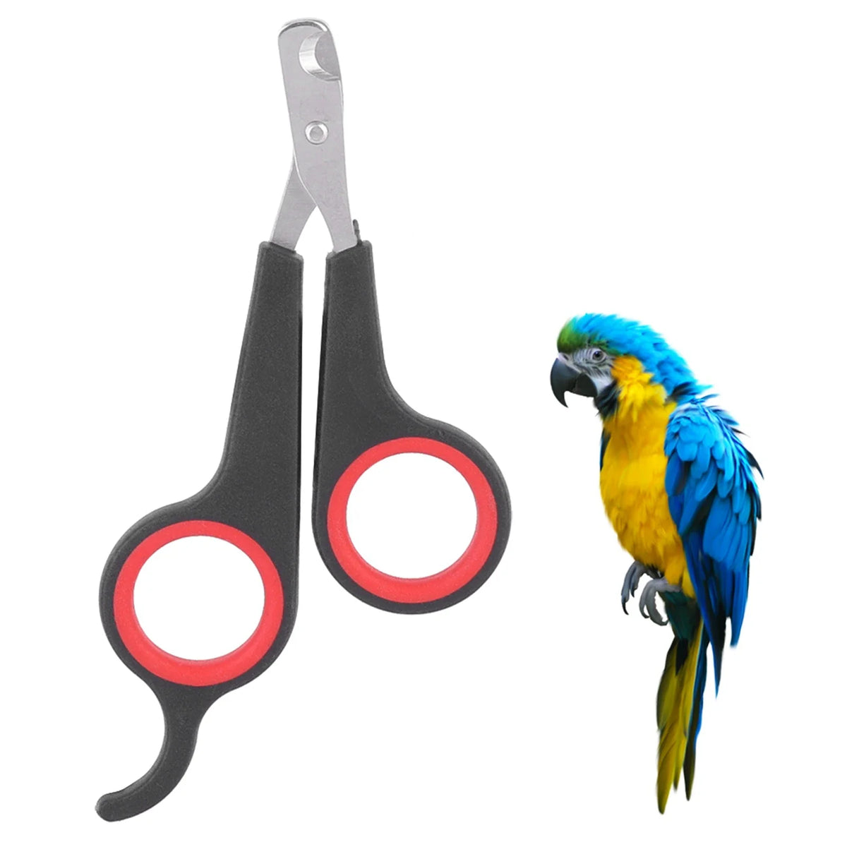 Pet Bird Parrot Small Animals Accessory - MyPetDollar.com