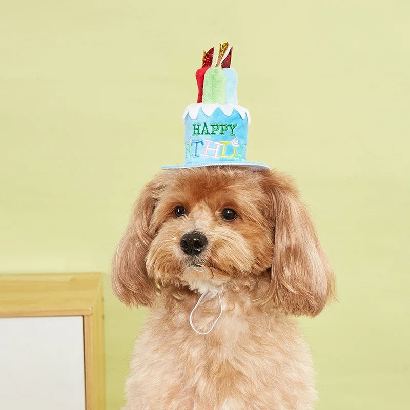 Booteely Pet Dog Hat for Birthday Party - MyPetDollar.com