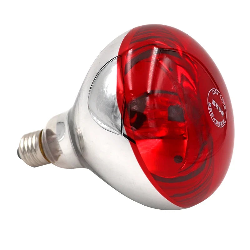 220V 100W/150W/200W/250W Thickened Heating - MyPetDollar.com