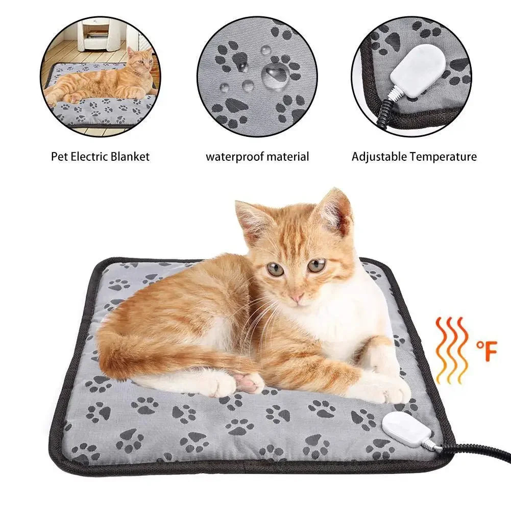and cats, waterproof heater, shutdown - MyPetDollar.com