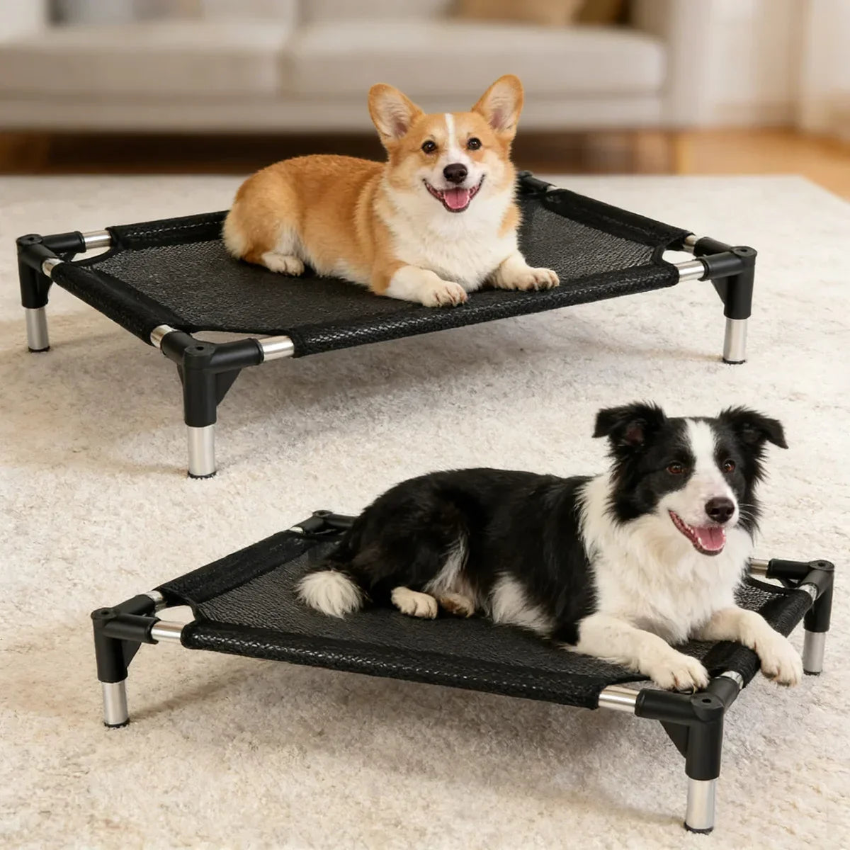 Outdoor Elevated Dog Bed Breathable Dog - MyPetDollar.com