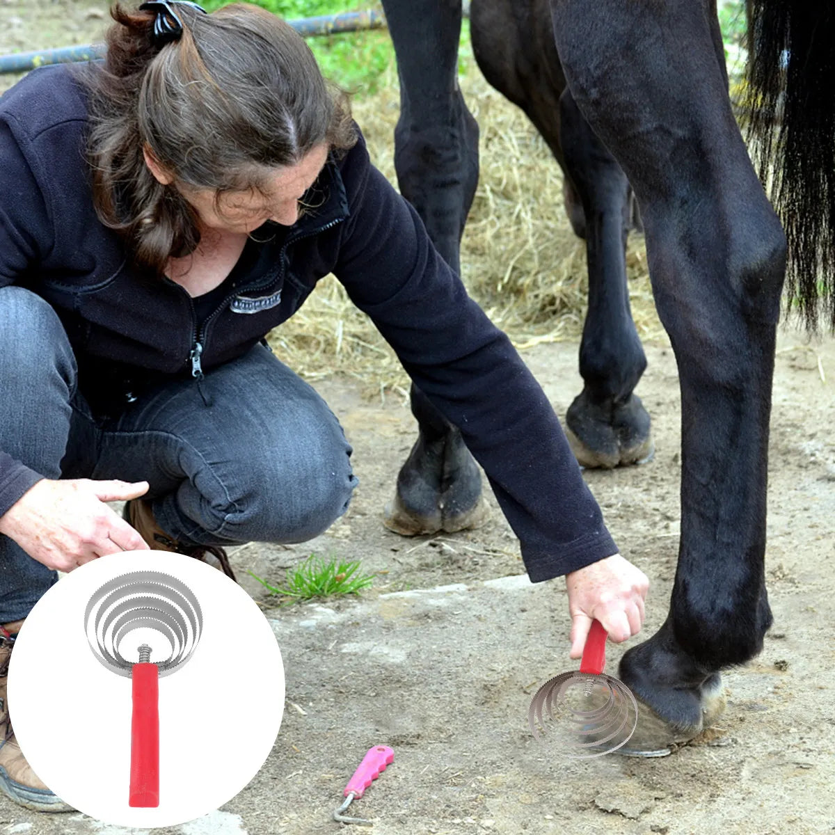 1Pcs Livestock Itching Brush Plastic Handle - MyPetDollar.com