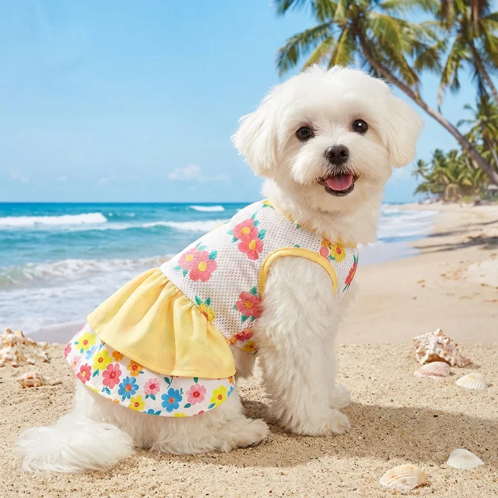 Pet Dog Dress, Yellow-White Double-Layer - MyPetDollar.com