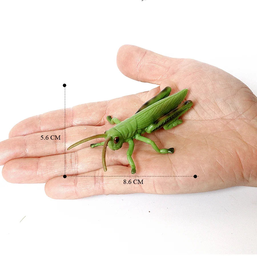 Realistic Insect Grasshopper Mosquito Cicad - MyPetDollar.com