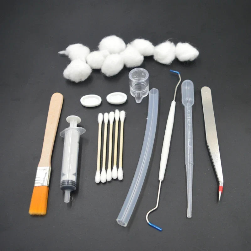 DIY Acrylic Ant Farm Tools Set with Food - MyPetDollar.com