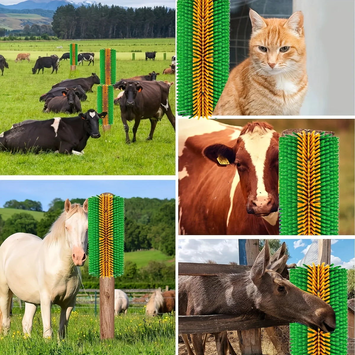 Livestock Scratching Brush for Itchy Coats, - MyPetDollar.com
