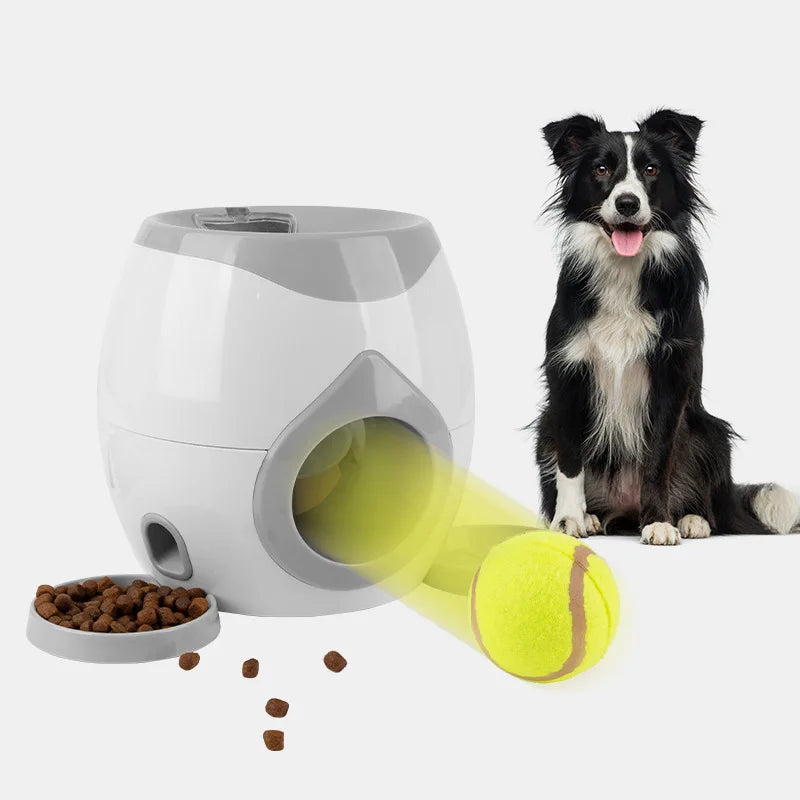 Automatic Dog Ball Launcher, Interactive - MyPetDollar.com