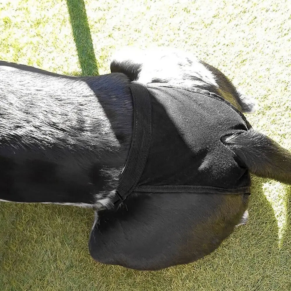 With 3 Cotton Pads Female Dog Panties Easy - MyPetDollar.com
